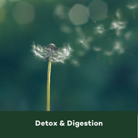 Detox & Digestion Blog tile